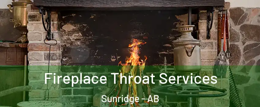  Fireplace Throat Services Sunridge - AB