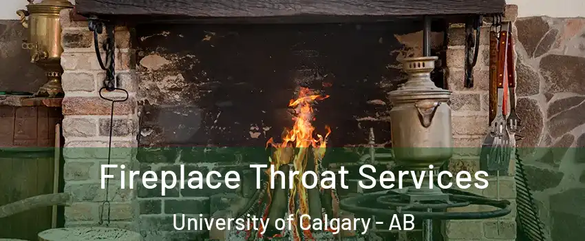  Fireplace Throat Services University of Calgary - AB