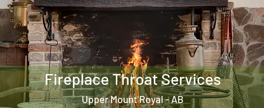  Fireplace Throat Services Upper Mount Royal - AB