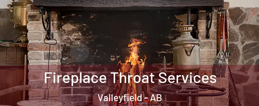  Fireplace Throat Services Valleyfield - AB