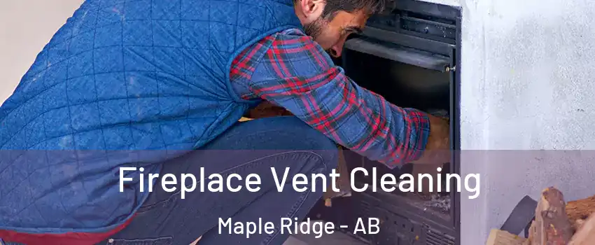  Fireplace Vent Cleaning Maple Ridge - AB