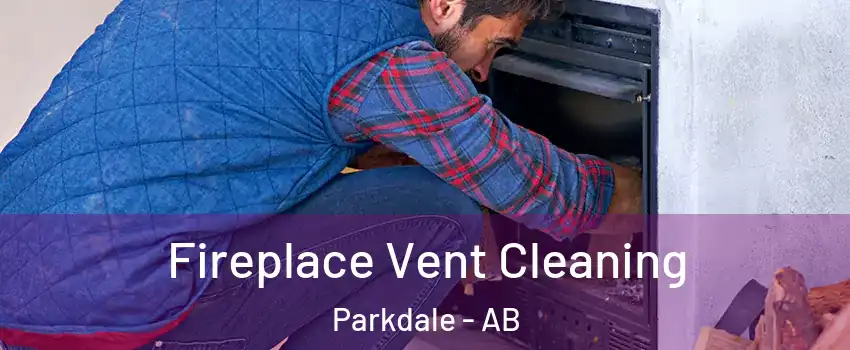  Fireplace Vent Cleaning Parkdale - AB