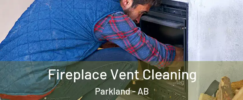  Fireplace Vent Cleaning Parkland - AB