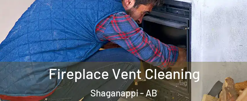  Fireplace Vent Cleaning Shaganappi - AB