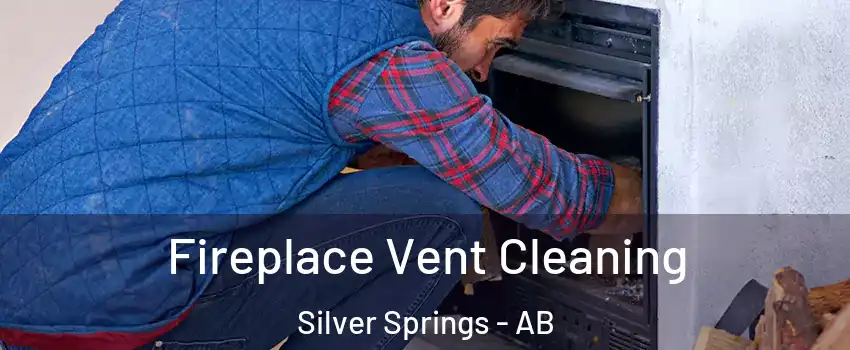  Fireplace Vent Cleaning Silver Springs - AB