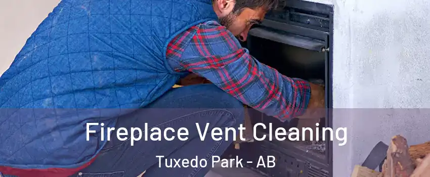  Fireplace Vent Cleaning Tuxedo Park - AB