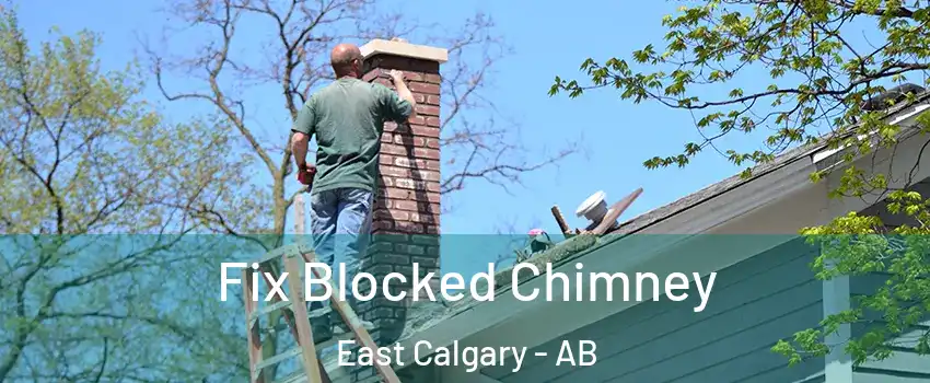  Fix Blocked Chimney East Calgary - AB