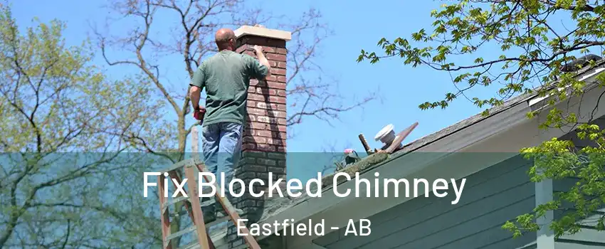  Fix Blocked Chimney Eastfield - AB