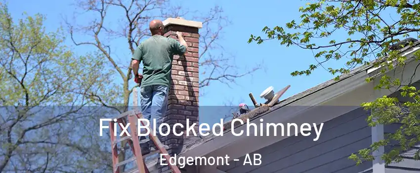  Fix Blocked Chimney Edgemont - AB