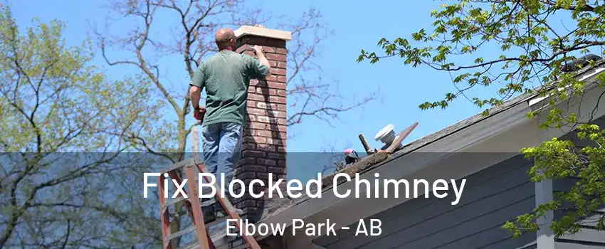  Fix Blocked Chimney Elbow Park - AB