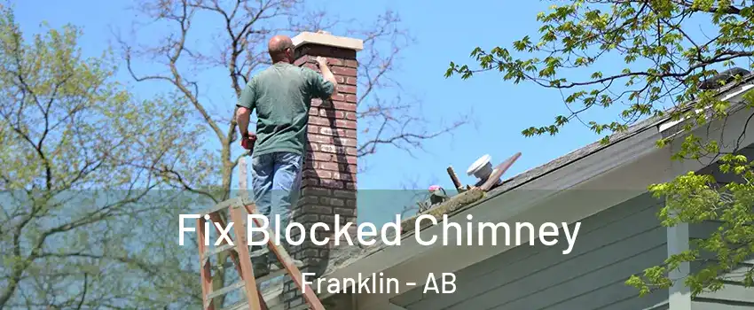  Fix Blocked Chimney Franklin - AB