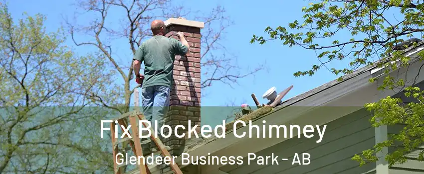  Fix Blocked Chimney Glendeer Business Park - AB