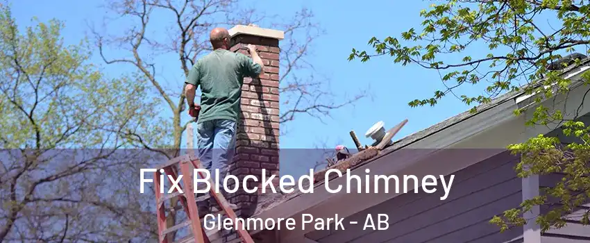  Fix Blocked Chimney Glenmore Park - AB