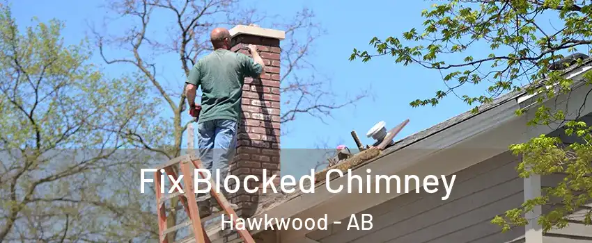  Fix Blocked Chimney Hawkwood - AB