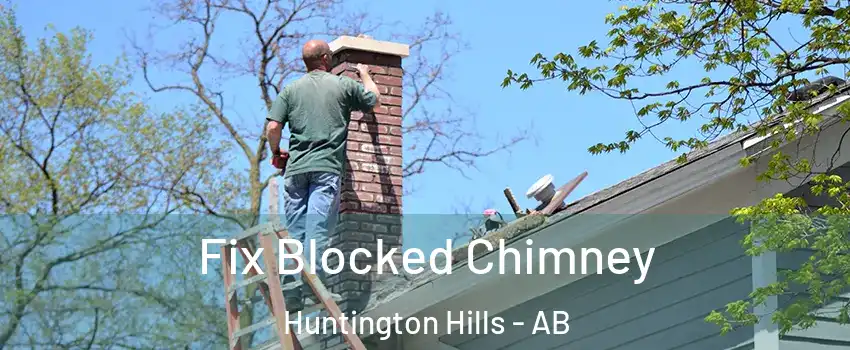  Fix Blocked Chimney Huntington Hills - AB