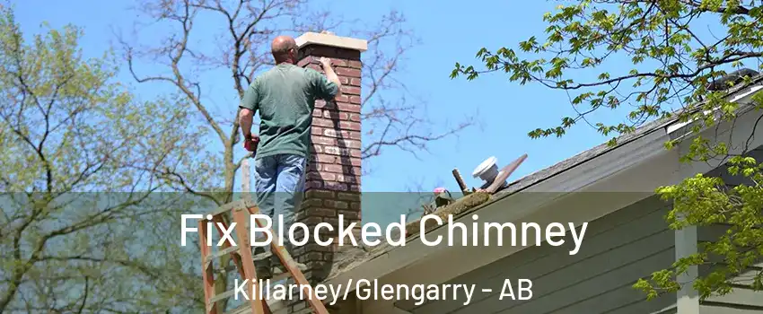  Fix Blocked Chimney Killarney/Glengarry - AB