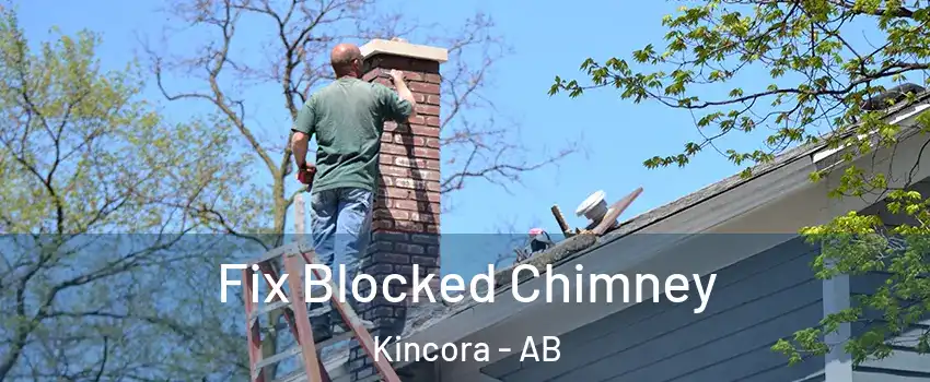 Fix Blocked Chimney Kincora - AB