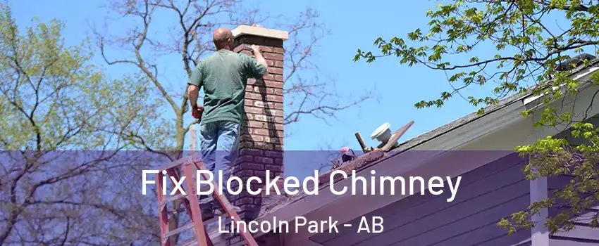  Fix Blocked Chimney Lincoln Park - AB