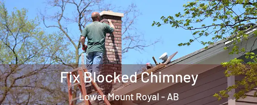  Fix Blocked Chimney Lower Mount Royal - AB
