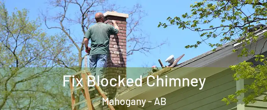  Fix Blocked Chimney Mahogany - AB