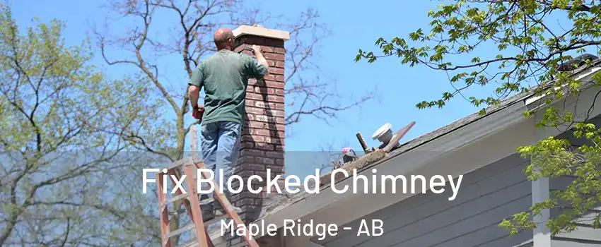  Fix Blocked Chimney Maple Ridge - AB