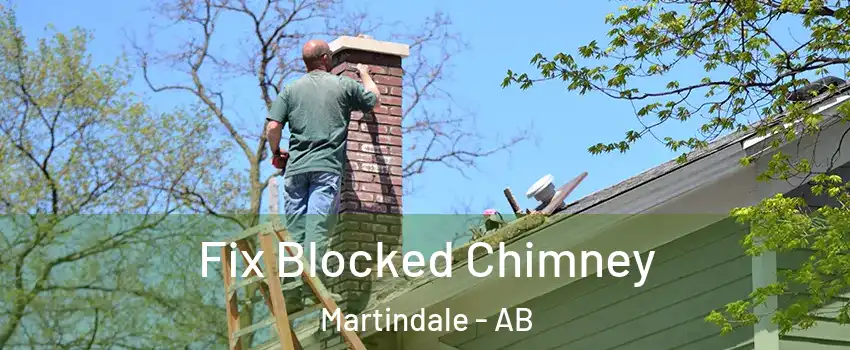  Fix Blocked Chimney Martindale - AB