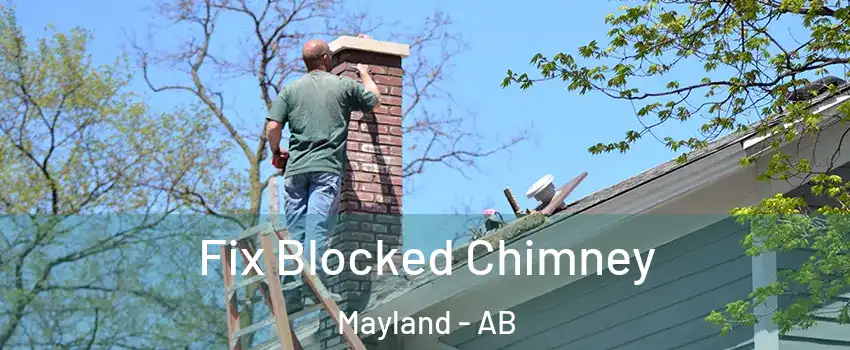  Fix Blocked Chimney Mayland - AB