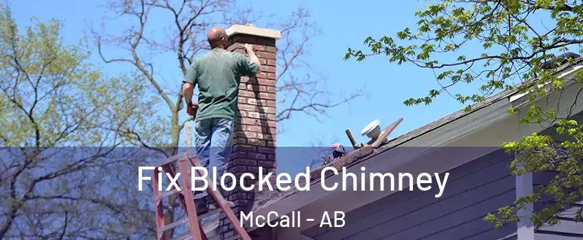  Fix Blocked Chimney McCall - AB