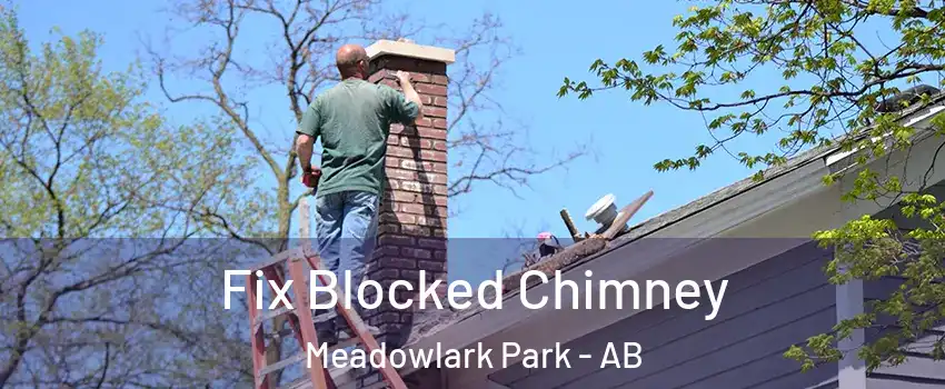  Fix Blocked Chimney Meadowlark Park - AB