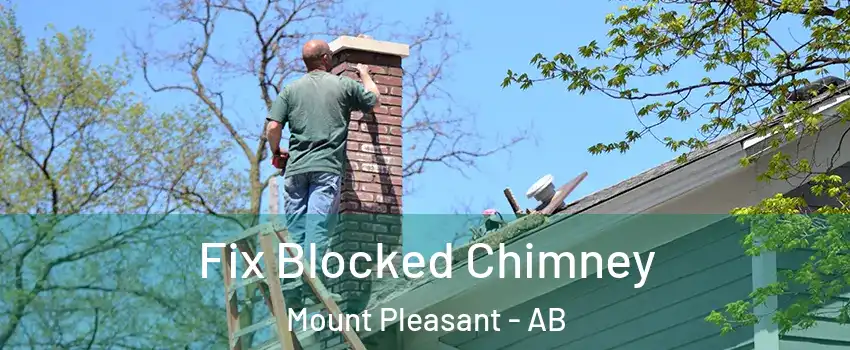  Fix Blocked Chimney Mount Pleasant - AB
