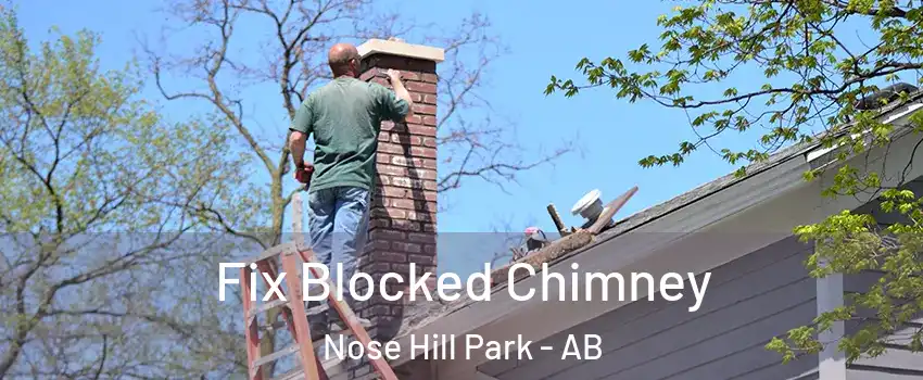  Fix Blocked Chimney Nose Hill Park - AB