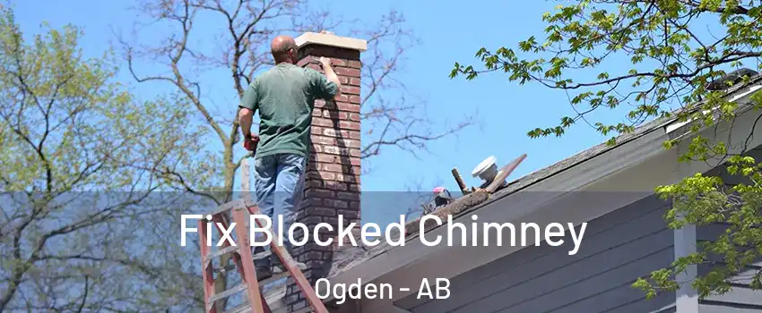  Fix Blocked Chimney Ogden - AB
