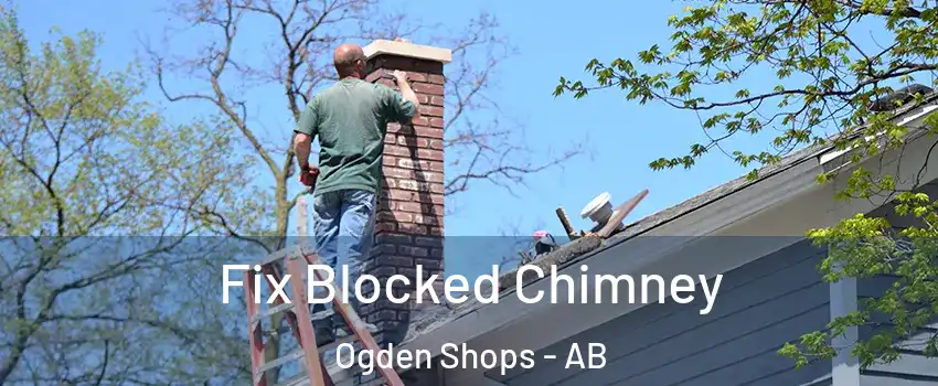  Fix Blocked Chimney Ogden Shops - AB