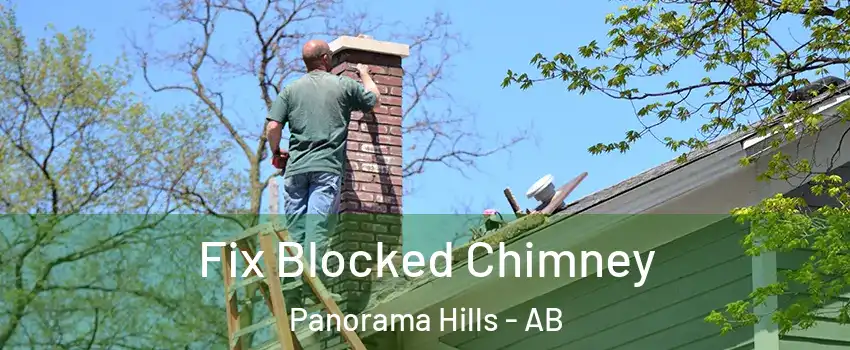  Fix Blocked Chimney Panorama Hills - AB