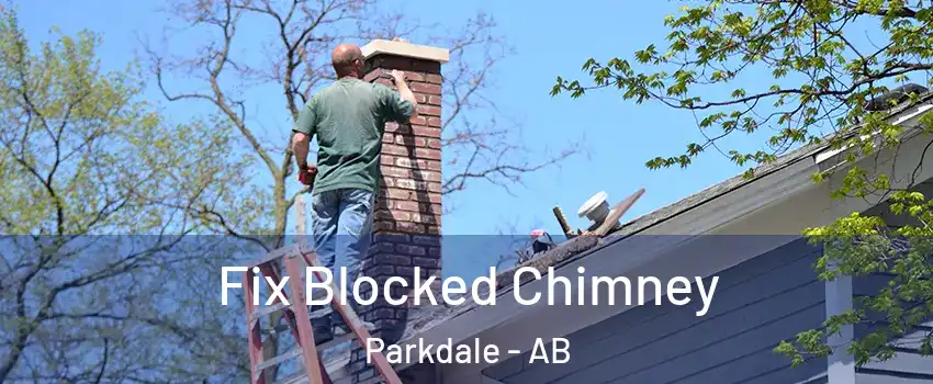  Fix Blocked Chimney Parkdale - AB