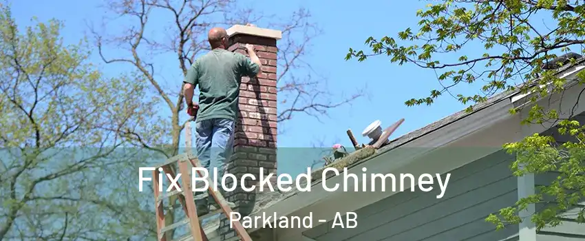  Fix Blocked Chimney Parkland - AB