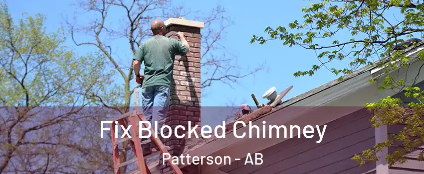  Fix Blocked Chimney Patterson - AB