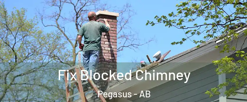  Fix Blocked Chimney Pegasus - AB