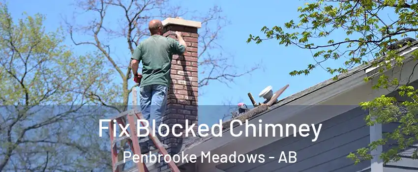  Fix Blocked Chimney Penbrooke Meadows - AB