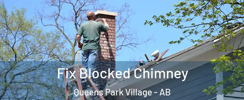  Fix Blocked Chimney Queens Park Village - AB
