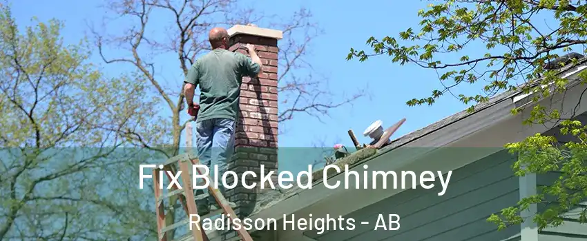  Fix Blocked Chimney Radisson Heights - AB