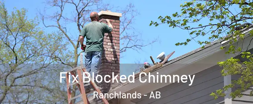  Fix Blocked Chimney Ranchlands - AB
