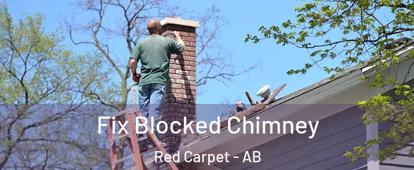  Fix Blocked Chimney Red Carpet - AB
