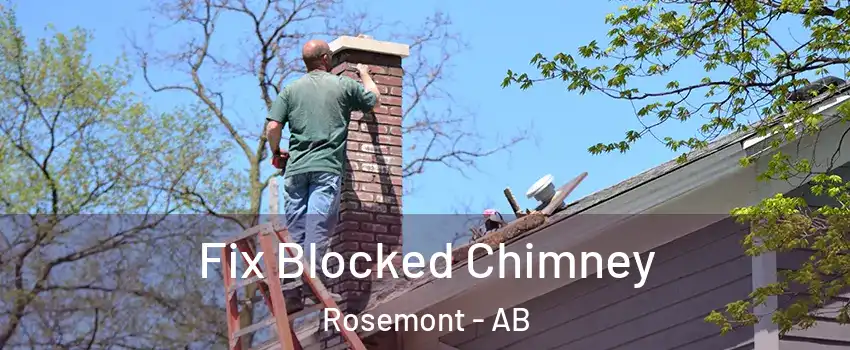  Fix Blocked Chimney Rosemont - AB