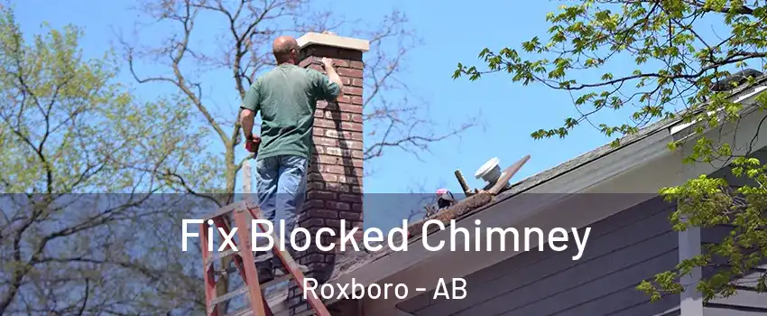  Fix Blocked Chimney Roxboro - AB