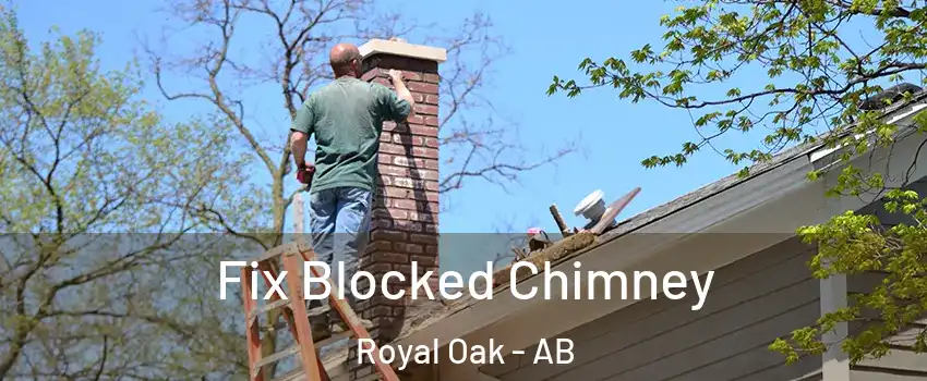  Fix Blocked Chimney Royal Oak - AB
