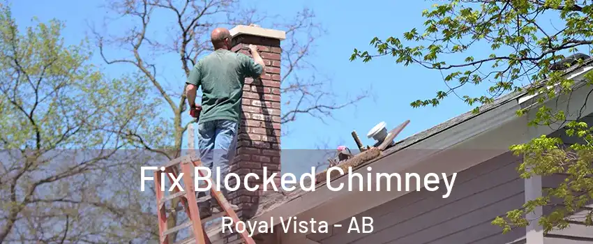  Fix Blocked Chimney Royal Vista - AB