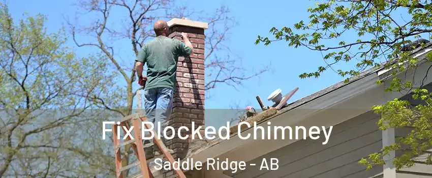 Fix Blocked Chimney Saddle Ridge - AB