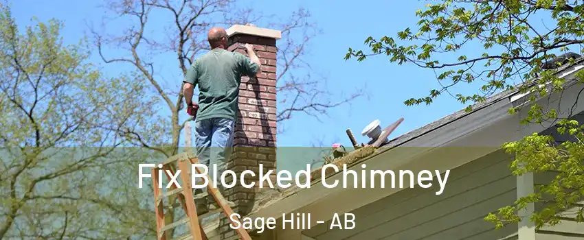  Fix Blocked Chimney Sage Hill - AB