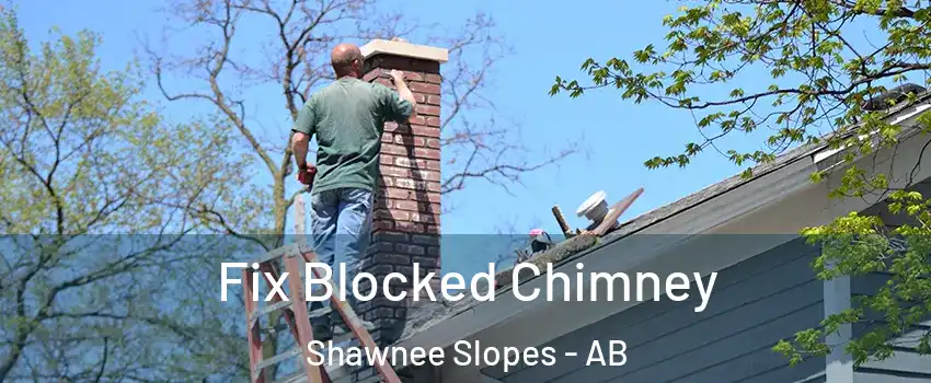  Fix Blocked Chimney Shawnee Slopes - AB